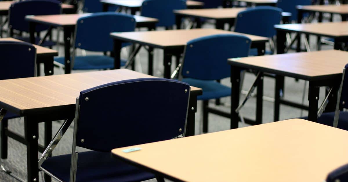 Primary Chinese Tuition