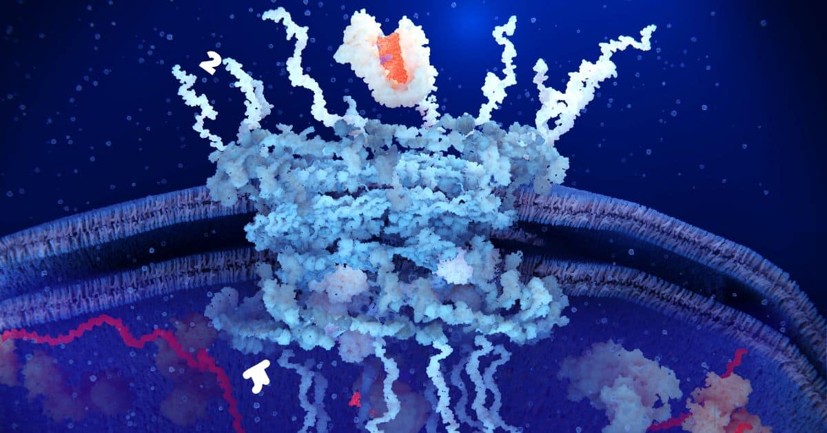 Master Secondary Biology: Focus on High-Weightage Topics